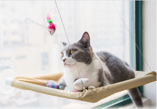 Cat Window Bed